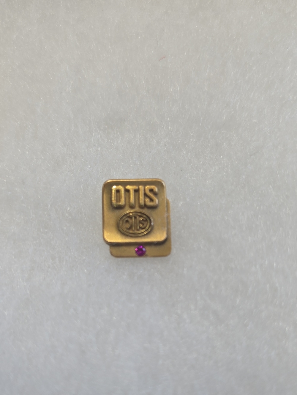 1/10  10K Gold Pin With Ruby Otis